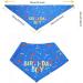 Blue Dog Birthday Boy Bandana for Small to Large Dogs - Puppy Party Scarf - Buy Online on SooperMarket.com