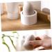 minkissy Sponge Rack White Sponge Holder Makeup Sponge Holder Ventilated Sponge Holder Beauty Sponge Holder Sponge Drying Rack Sponge Stand Storage Beauty Egg Powder Puff Holder Tool - Buy Online on SooperMarket.com