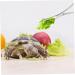 BCOATH Reptile Feeding Clip Lizard Stuff Feeding Tongs Snake Tongs Stainless Steel Silver - Buy Online on SooperMarket.com