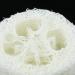 4PC Loofah Soap Dish Tray Set | Natural Loofah Sponge Rack for Bathroom & Kitchen | Durable & Strong | Ideal for Household Cleaning - Buy Online on SooperMarket.com