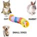 Interactive Cat Tunnel Toy for Indoor Cats - Collapsible S-Style Rainbow Tunnel for Kittens, Rabbits, and Puppies - Buy Online on SooperMarket.com