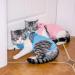Easy Joy Recovery Suit for Cats - Postoperative Litter Clothing for Abdominal Wounds | E-Collar Alternative | Soft Indoor Pet Apparel (M Blue) - Buy Online on SooperMarket.com