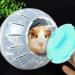 Hamster Exercise Ball 5.7 Inch Hamster Jogging Ball Pet Clear Exercise Wheel Running Ball 2-Pack Hamster Activity Ball for Mice Rat - Buy Online on SooperMarket.com