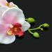 Bridal Orchid Flower Hair Clip Hawaii Hairpin Flower Brooch Barrettes Women Girls Hair Accessories for Wedding Prom Party Beach Travel - Red Excellent Quality and Popular Practical and Fashion - Buy Online on SooperMarket.com