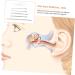 Healeved 4 Sets Stainless Steel Ear Pick Tool Kit for Earwax Removal and Cleaning - Buy Online on SooperMarket.com