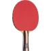 STIGA Performance 4 Player Ping Pong Paddle Set with 6 3 Star Orange and White Balls - Buy Online on SooperMarket.com