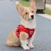 LOOK ANDE HOUSE Cauling Small Dog & Cat Dishes with Leash - Reflective Soft Padded Air-Mesh Dishes for Puppies & Small Dogs (S: Chest 29-33cm) - Red - Buy Online on SooperMarket.com