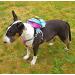 Animal Outfitters UK Tie Dye Waterproof Dog Backpack Saddlebag | Saddlebag | Harness | Adjustable Harness | For Small or Large Dogs | Hiking - Buy Online on SooperMarket.com