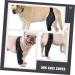 GANAZONO Dog Hindleg Cover Paw Butter Balm for Dogs Comfy Brace Dog Rear Leg Splint Care Elbow Pads S As Shown - Buy Online on SooperMarket.com