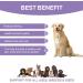 Petsy Skin & Coat Supplement for Dogs - Vitamin C, E, Zinc, Biotin, Omega 3 - Supports Healthy & Shiny Coat, Rejuvenates Skin, Natural Relief for Itchy Skin - Daily Use - Buy Online on SooperMarket.com