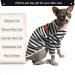 Breathable Summer T-Shirts for Hairless Cats | Soft Cotton Pet Pajamas for Sphynx Cornish Rex Devon Rex - XS Size - Buy Online on SooperMarket.com