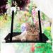 Cat Window Perch - Durable Sunny Seat Hammock for Climbing, Space Saving Design - Black Cat Accessories - Buy Online on SooperMarket.com