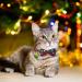 YUJUN 3Pack Christmas Cat Collars with Bow tie and Bell - Adjustable Plaid Snowflake Collar for Kittens - Breakaway Buckle Safety for Puppy - Buy Online on SooperMarket.com