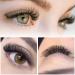 Buy 3D 4D 5D 6D Finished Eyelash Extensions - Volume Oxtensions 0.07 0.10 | International Shipping Available - Buy Online on SooperMarket.com
