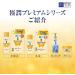(Set of 2) Hada Labo Gokujun Premium Hyaluronic Acid 170ml - Hydrating Skin Care Serum - Buy Online on SooperMarket.com