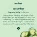 Method Gel Hand Wash - Cucumber Water 12 oz (Pack of 6) | Refreshing Cucumber Scent | Eco-Friendly Packaging - Buy Online on SooperMarket.com
