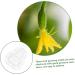 Happyyami Gardening Tool 6 Pcs Vegetable Mold Fruits Shaping Planting Small Mold Shaper Multifunction 9x8cmx2pcs Transparentx2pcs - Buy Online on SooperMarket.com