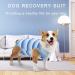 Newsbirds Dog Surgery Recovery Suit for Small Dogs - XL Blue | Post-Op Puppy Wound Protection - Buy Online on SooperMarket.com