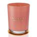 Cocorr na Candle fragrance candle in a glass - cherry blossom burning time up to 46 hours with 2 wicks natural soy candle Christmas gift candle 420g cherry blossom 420g
