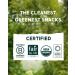 Organic Chocolate - Dark Quinoa Chocolate Bar 12 Pack - Buy Online on SooperMarket.com