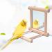 2Pcs Parrot Hanging Swing Mirror Fun Wooden Parrot Mirror Hanging Wooden Bird Mirror Toy Parrot Toy Budgie Mirror for Small Birds - Buy Online on SooperMarket.com