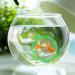 Brine Shrimp Net Small Aquarium Fish Net Shrimp Separation Net for Artemia Eggs Brine Shrimp Hatchery - Buy Online on SooperMarket.com