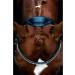 Schockem hle Malibu Anatomic Snaffle Bridle Black for Thoroughbreds - Premium Quality Equestrian Gear Worldwide Shipping - Buy Online on SooperMarket.com