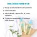 Derma:B Daily Moisture Body Oil 6.76 fl oz - Hydrating Skin Care for All Day Moisture - Buy Online on SooperMarket.com