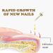 NailGrowth DeepHealing Organic Serum NailGrowth Nail Serum Reconstrux Nail Growth Nail Growth and Strengthening Serum Nail Serum for Growth and Repair for Damaged Nails (3pcs) - Buy Online on SooperMarket.com
