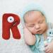 Alphabet Lore Plush Animal Toy - Educational Stuffed Doll for Kids and Adults - Cute and Funny Cartoon Design - Perfect Gift for Christmas and Birthdays - Buy Online on SooperMarket.com