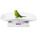 Bagima 10kg1g Digital Small Pet Weight Scale for Cats Dogs Measure Tool Electronic Kitchen Scale Small Animal Scale Puppy Weighing Scale Electronic Kitchen Scale for Cat Dog Parrots - Buy Online on SooperMarket.com