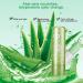 Long Lasting Lip Gloss Aloe Vera Moisturizing Color Changing Lip Balm Gloss Lipstick Beauty Tool - Buy Online on SooperMarket.com