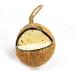 Box of 12 Chubby Wild Bird Food Whole Filled Coconuts - Buy Online on SooperMarket.com