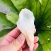 90g-180g Natural Crystal Cluster Skeleton Flower Stone 1pc HOMEZHOU (Color : 1pc 130g-150g)