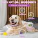 Woyamay Calming Collar for Dogs Adjustable Calming Dog Collar Helps Dogs Anxiety Relief Natural Calming Pheromone Dog Collar Lasts 60 Days Fits All Small Medium Large Dog 2 Pack Purple Purple-2 Pack - Buy Online on SooperMarket.com