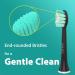 LINILEEA Toothbrush Replacement Heads Black Compatible with Philips Sonicare Click On Electric Toothbrush 8Pack Balck 1 count (Pack of 8) - Buy Online on SooperMarket.com