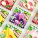 Peeled fruit juice gummies 108g/box lychee mango grape flavored soft candy delicious fudge chewing candy healthy candy wedding candies casual desserts dim sum snacks gift pack (Mixed Flavors 8box) Mixed Flavors 8box - Buy Online on SooperMarket.com