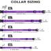 Buy Tagme Personalized Purple Dog Collar for Small Dogs | Embroidered Reflective Nylon with Pet Name & Phone Number - International Shipping Available - Buy Online on SooperMarket.com
