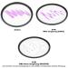B+W 112mm Master UV Haze MRC Nano 010M Glass Filter - Ultimate Protection for Your Lens - Buy Online on SooperMarket.com