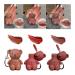 3Pcs Keychain Bear Lipsticks  2 in 1 Key Chain Bear Lipstick Mist Matte Velvet Lipgloss Moisturizing Lip Stain Waterproof Long Lasting Bear Lip Gloss with Keychain Cute Bear Beauty Makeup (01+02+06)