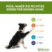 Whimzees by Wellness Stix - Natural Grain-Free Dental Care Snacks for Large Dogs | Monthly Pack of 30 Couch Sticks | Size L - 1 kg (1 Pack) - International Shipping Available - Buy Online on SooperMarket.com
