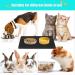 TORASO 2 Pack Silicone Waterproof Pet Feeding Mats (18x12) - Non Slip, Easy Clean, Prevents Food and Water Overflow - Dog & Cat Placemat - Black (2 pcs) - Buy Online on SooperMarket.com