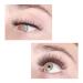 LASHVIEW 3D Faux Eyelashes - Natural Look Wispies, Soft & Reusable | 5 Pair Pack - Buy Online on SooperMarket.com