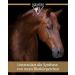 Equistro Haemolytan 400 - Vitality Support Supplement for Horses | Enhance Performance | 250ml - Buy Online on SooperMarket.com