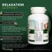Vitanergy L-Theanine Mental Focus & Calmness - Promote Stress Anxiety Relief Relaxation and Sleep Aid - 100mg Chewable Tablets 60ct Tropical Flavor- Made in Canada - Buy Online on SooperMarket.com