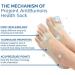 Projoint Antibunions Health Socks - Bunion Relief & Corrector (4 Pair) - Buy Online on SooperMarket.com