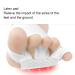 Bunion Corrector & Toe Separator for Hallux Valgus Relief - Non-Surgical Big Toe Straightener for Men & Women - Buy Online on SooperMarket.com