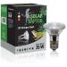 SOLAR RAPTOR UV halogen spot 35 watts reptile heat lamp terrarium lamp with daylight spectrum