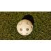 Wiffle Plastic Perforated Golf Balls 36 Pack - Durable Practice Balls for Golfers - Buy Online on SooperMarket.com