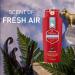 Old Spice Body Wash for Men Champion 709 ml (24 fl.oz) Fresh 709 ml (Pack of 1) - Buy Online on SooperMarket.com